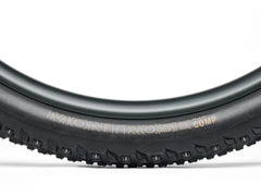 Tyre Bontrager Montrose Comp XR MTB
