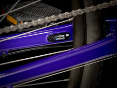 Verve 3 Disc Lowstep Women's Wheels Bikes