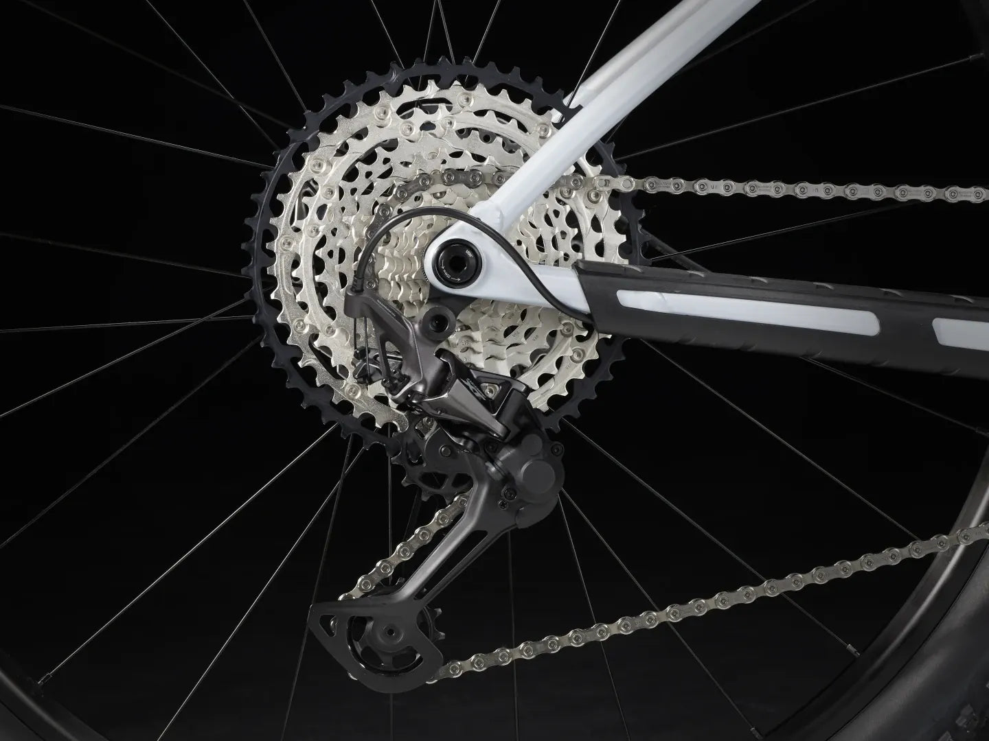 Procaliber 8 - 2025