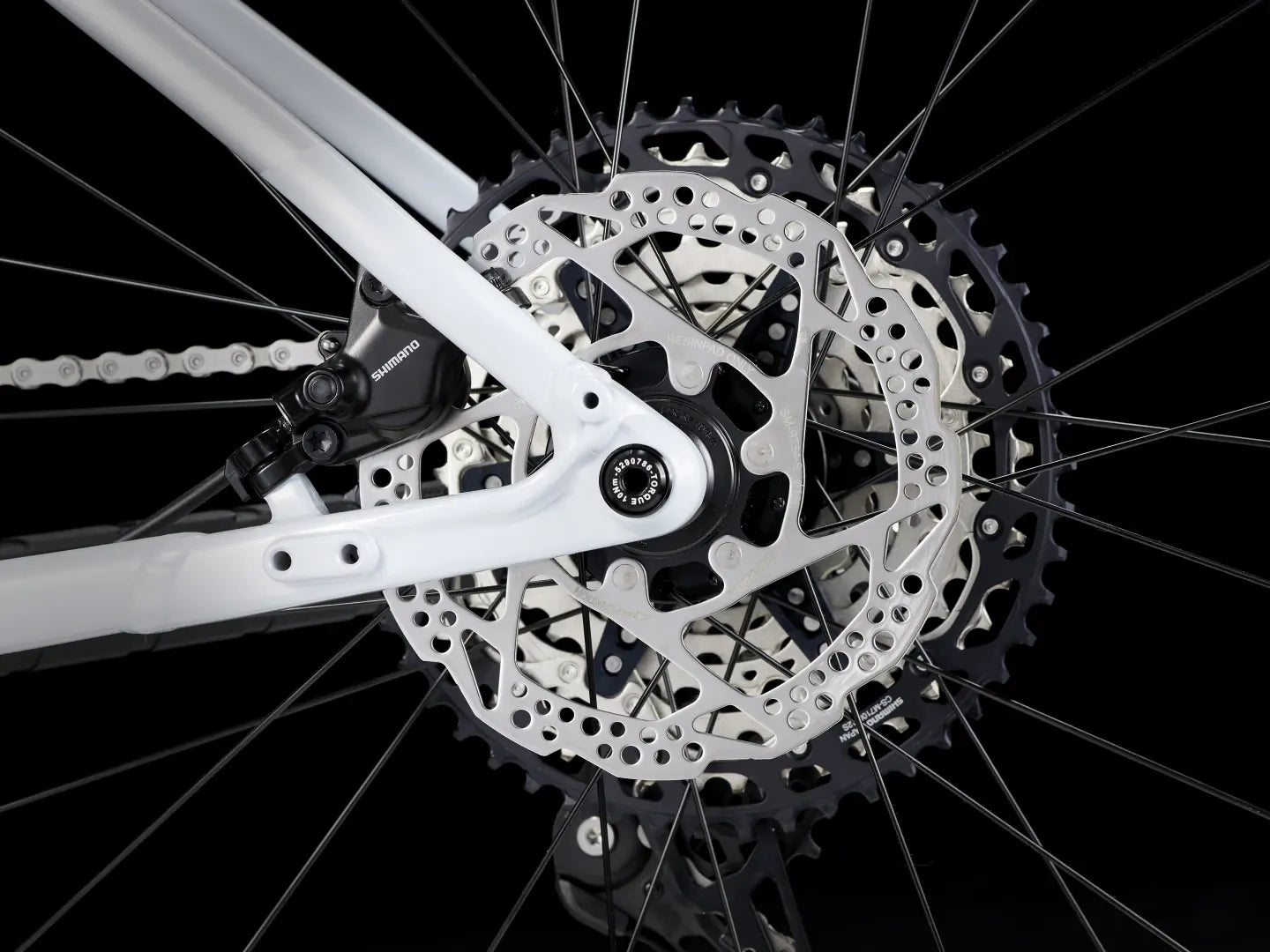 Procaliber 8 - 2025