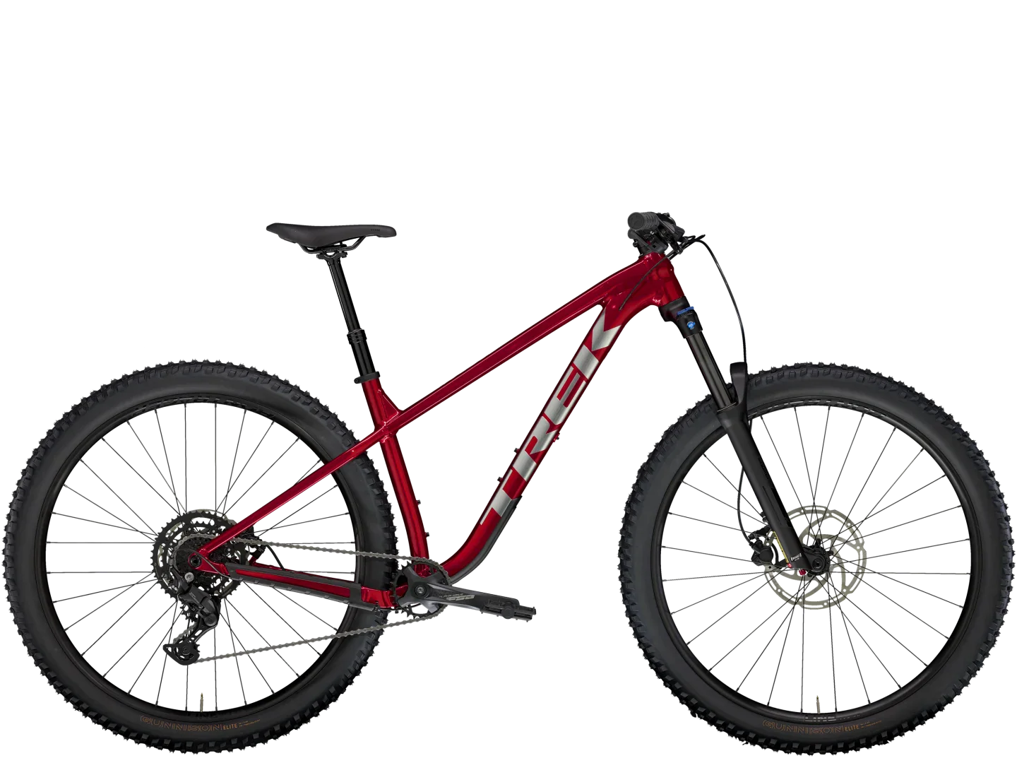 Roscoe 6 - 2025