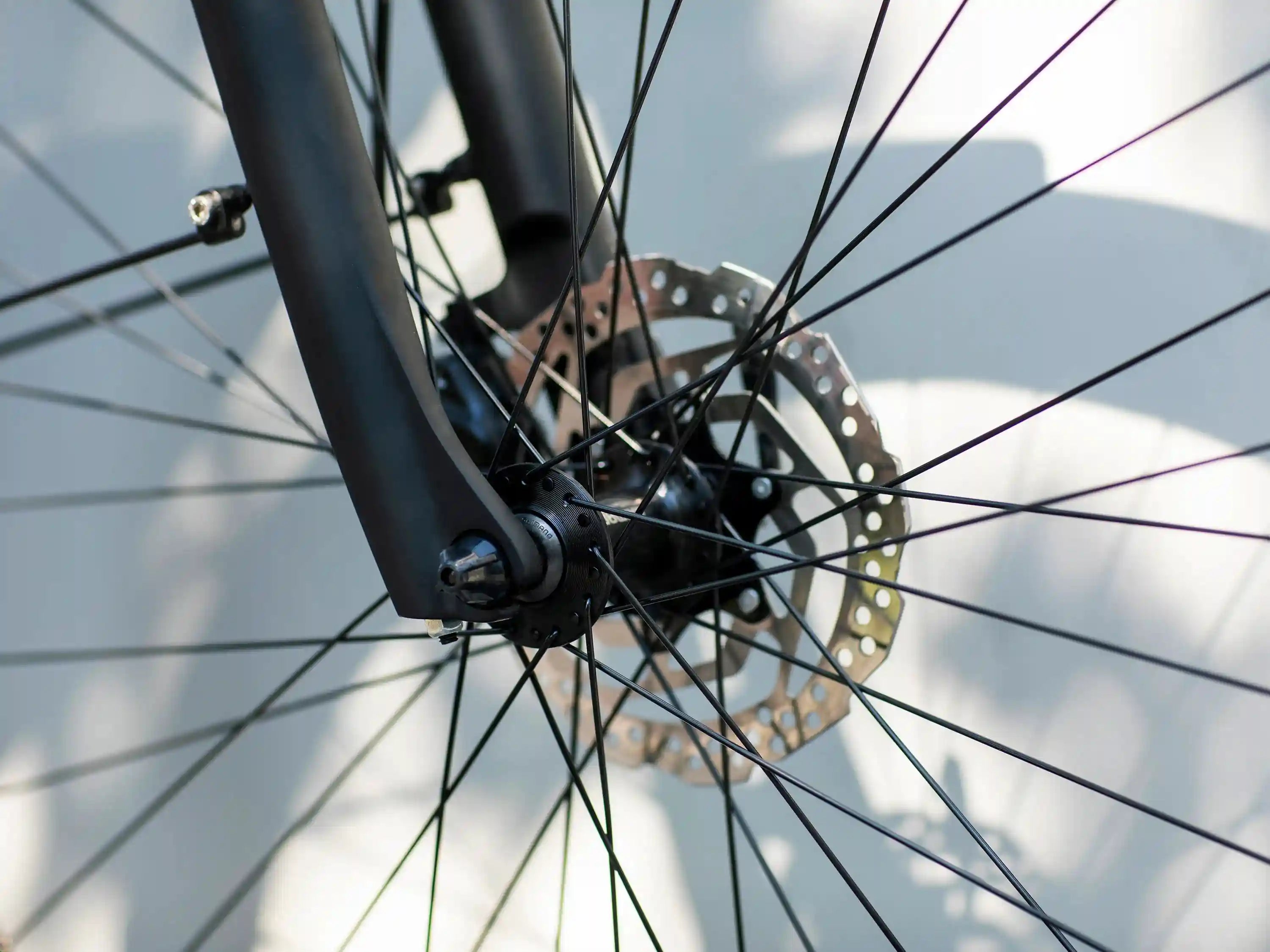Verve + 2 Wheels Bikes